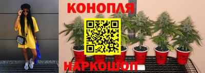 прущая мука Гатчина