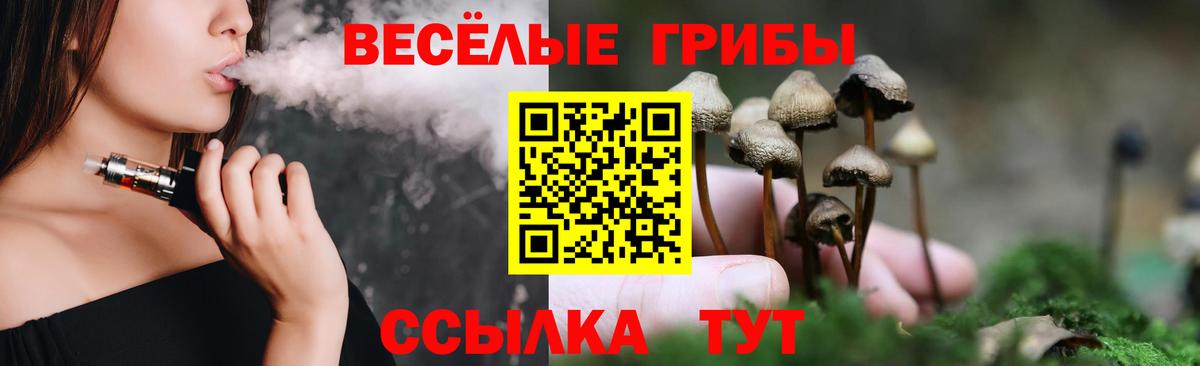 Псилоцибиновые грибы Cubensis  Вход с VPN  Таганрог 